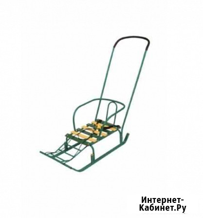 Сани Воронеж - изображение 1