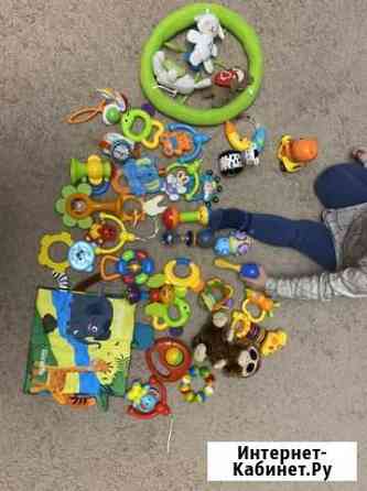 Развивающие игрушки Петропавловск-Камчатский