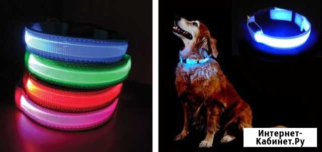 LED Ошейники для Собак Самара - изображение 1