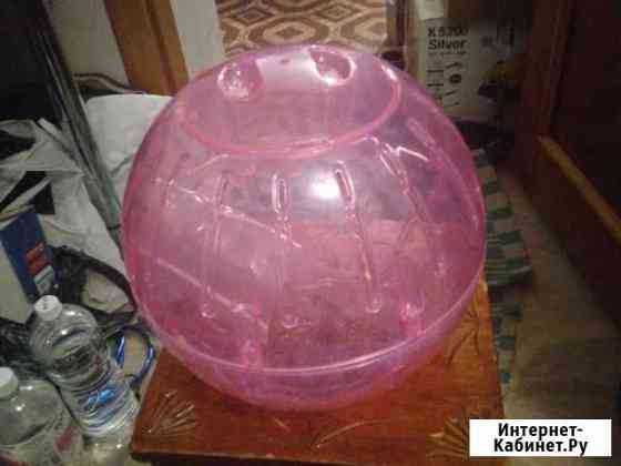 Прогулочный шар Triol Хабаровск