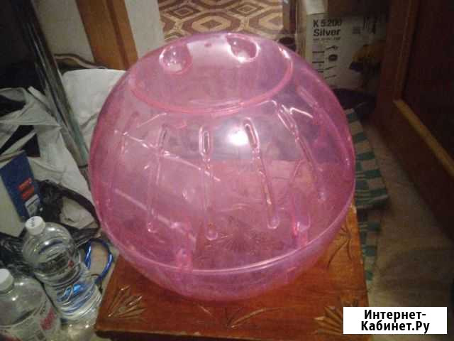 Прогулочный шар Triol Хабаровск - изображение 1