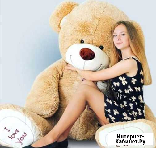 Плюшевый медведь Великий Новгород - изображение 1