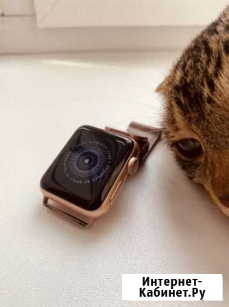 Часы apple watch series 3 Петропавловск-Камчатский - изображение 1