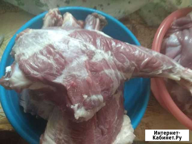 Мясо молодых козлят,козлятина Ростов-на-Дону - изображение 1