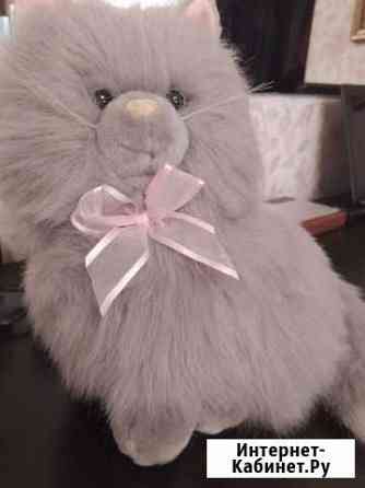 Кошка Тюмень