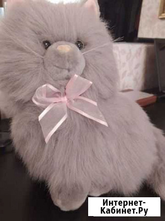 Кошка Тюмень - изображение 1