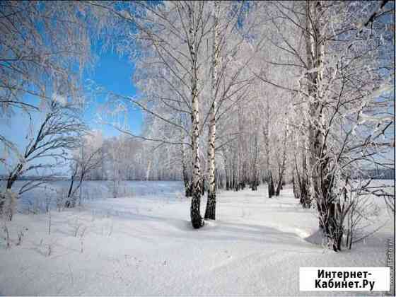 Продам березы на дрова Курск