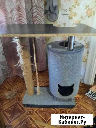 Домик для кошки Ангарск - изображение 1