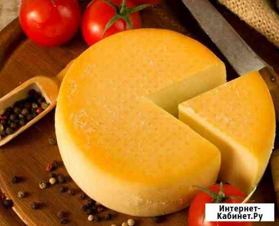 Сыр от производителя Краснодар