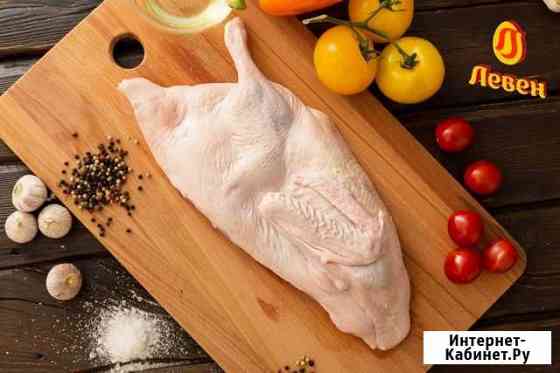 Мясо утки, перепелок, цесарки, гуся Гатчина