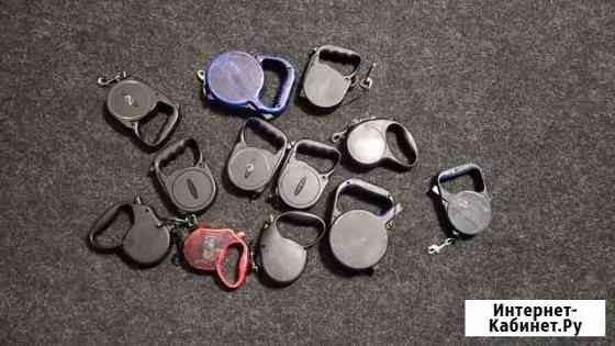 Поводок собачий, много разных Новосибирск