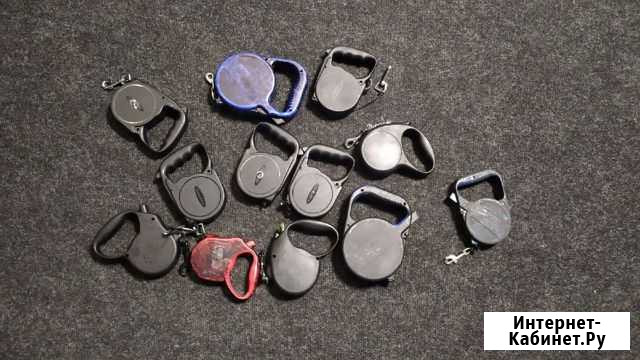 Поводок собачий, много разных Новосибирск - изображение 1