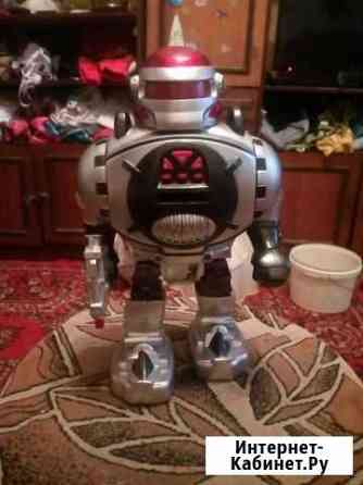 Робот Новосибирск