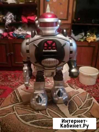 Робот Новосибирск - изображение 1