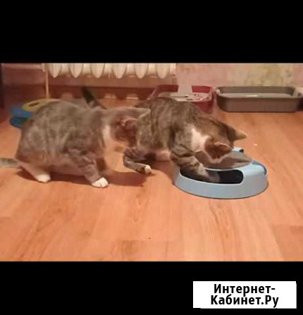 Крошка-малыш, мальчик,3,5 месяца. Отдам Ангарск - изображение 1
