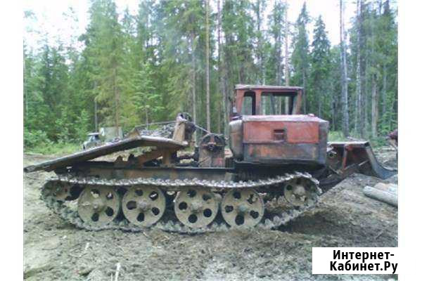 Услуги лесозаготовки Североонежск - изображение 1
