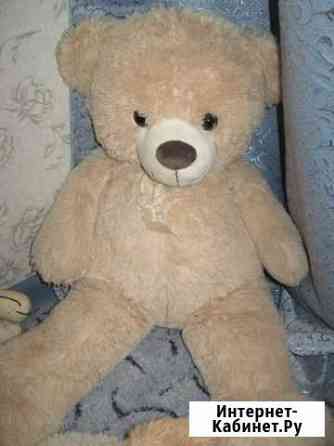 Собака и медведь мягкие Ярославль