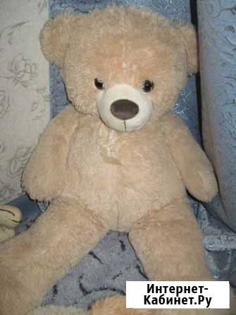 Собака и медведь мягкие Ярославль - изображение 1