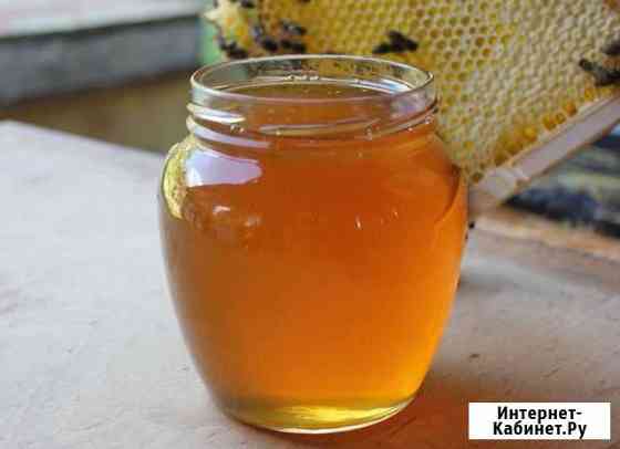 Лесной липовый мед с эспарцетом Москва