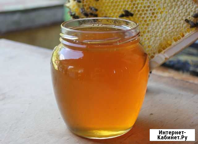 Лесной липовый мед с эспарцетом Москва - изображение 1