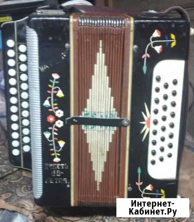 Гармонь заказная Бирск - изображение 1