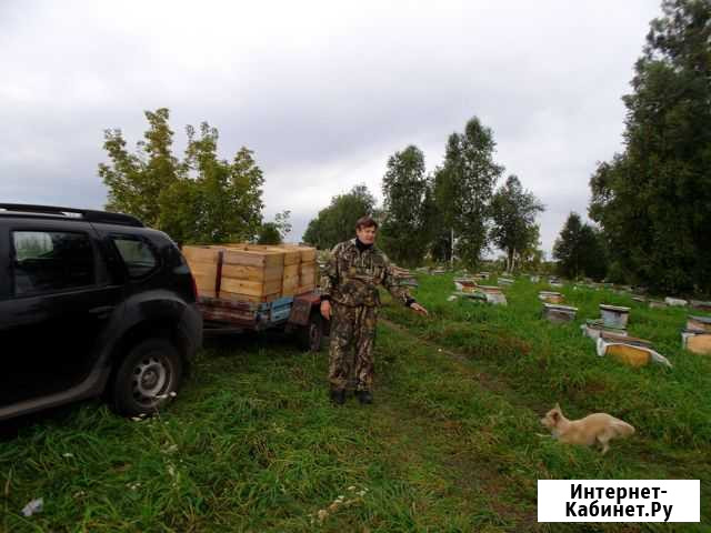 Мед цветочный Горно-Алтайск - изображение 1