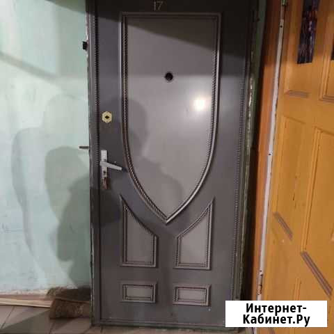 Дверь металлическая входная Йошкар-Ола - изображение 1