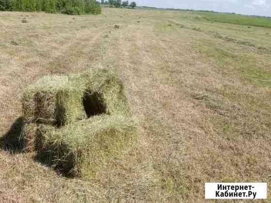 Сено Благовещенск