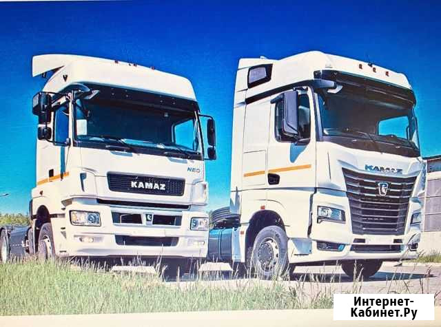 Отключение мочевины Камаз-5490 и Камаз-54901 Нижний Новгород - изображение 1