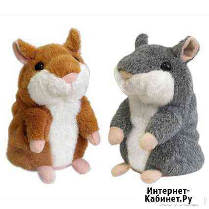 Говорящий хомяк-повторюшка Липецк