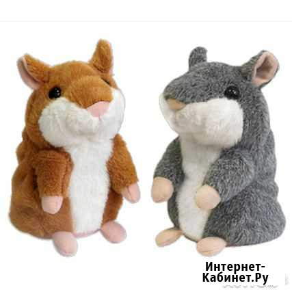 Говорящий хомяк-повторюшка Липецк - изображение 1