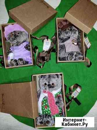 Коты Басики Курск