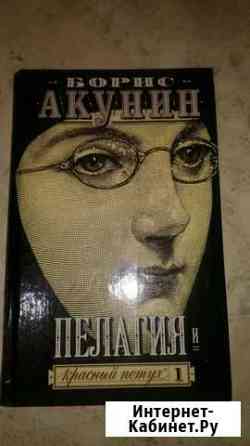 Книга Борис Акунин Обнинск