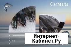 Семга свежемороженая рыба морепродукты Мосрентген - изображение 1