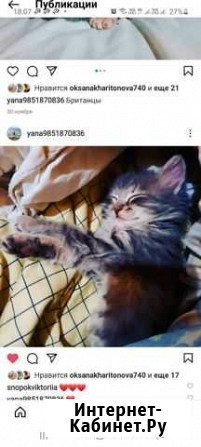 Отдам бесплатно Ступино - изображение 1