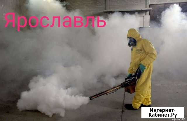 Уничтожение клопов, тараканов, клещей, плесени Ярославль - изображение 1