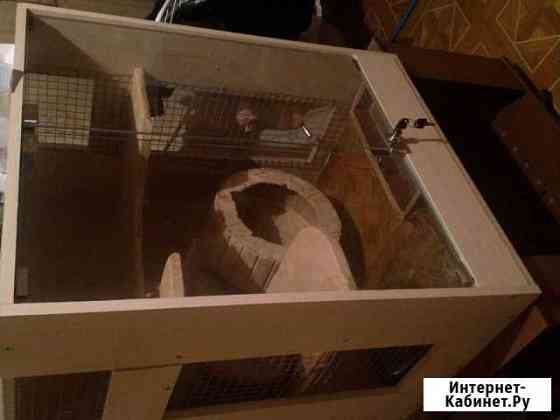 Клетка для шиншиллы бу Саратов
