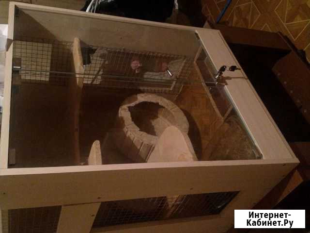 Клетка для шиншиллы бу Саратов - изображение 1