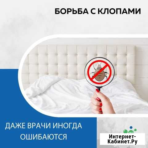 Уничтожение клопов Нефтекамск - изображение 1