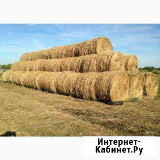 Продам сено в рулонах Железногорск - изображение 1
