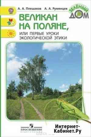 Великан на поляне, или Первые уроки /Плешаков Екатеринбург