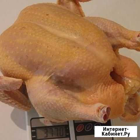 Домашнее мясо, курица, кролики. Оптом - Розница Невинномысск - изображение 1