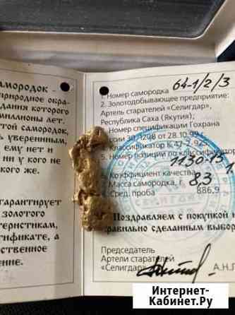 Золотой самородок Химки