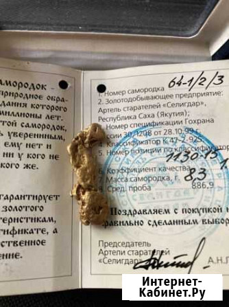 Золотой самородок Химки - изображение 1