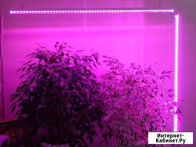 Фитосветильники 600 мм. 8 Вт. Новые Новосибирск - изображение 1