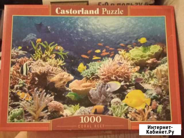 Пазлы 1000 Казань - изображение 1