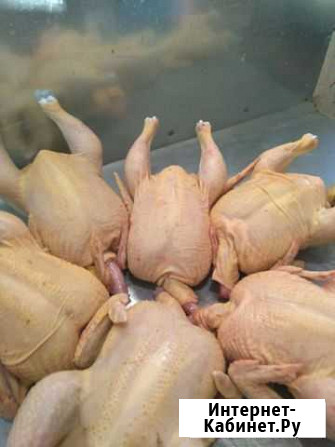 Домашнее мясо кур на постоянной основе Девица - изображение 1