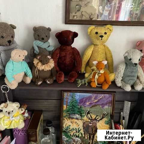 Мишки Тедди, разные Киров - изображение 1