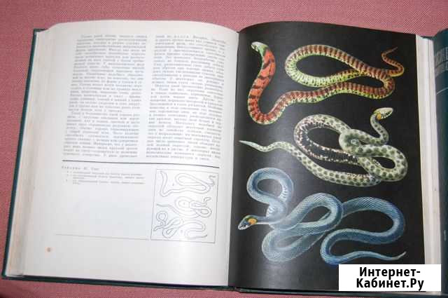 Жизнь животных. цена указана за 5 томов Симферополь - изображение 1