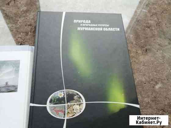 Книга Природа и природные ресурс Великий Новгород